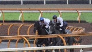 イクイノックスと同じキタサンブラック産駒の青鹿毛 クロワデュノールが初陣/関西馬メイクデビュー情報