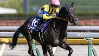 ジャンタルマンタルの父パレスマリスってどんな馬？ 24年からは日本で種牡馬生活スタート