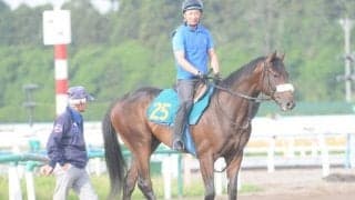 オークス馬の半弟もスタンバイ 国枝師「いいレベルにはあると思う」/関東馬メイクデビュー情報