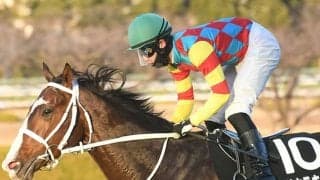 【函館SS想定騎手】アサカラキングは斎藤新騎手、サトノレーヴは浜中俊騎手