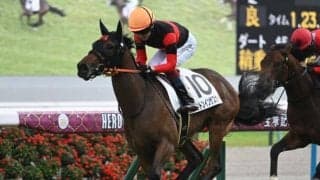 中央競馬でも新馬戦が開幕 血統評論家から見た新種牡馬の感想は？