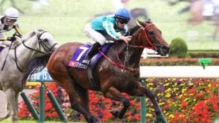 外国馬を苦しめた日本の高速馬場を“一発回答”　ロマンチックウォリアー勝利の裏にある「国内マイル戦線の空洞化」【安田記念】