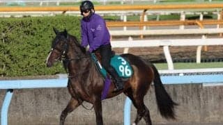 ダンスアミーガの2022(カムニャック)など、先週のゲート試験/栗東トレセンニュース