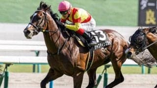 JRA重賞66勝を誇る名門初のスプリント重賞制覇へ 函館SSで4度目の正直なるか