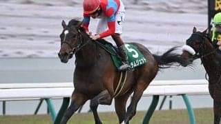 東京ダービーは「ユニコーンS組」が狙いに 京都好走馬に注目したい理由