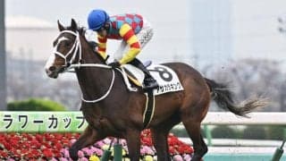 【函館SS予想オッズ】アサカラキングが予想1番人気