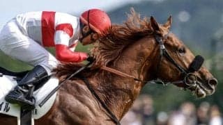 母父として「3カ国」のダービー制覇 注目集めるコングラッツとは？