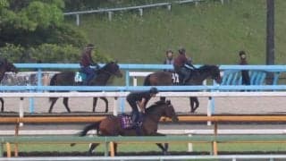 ドウデュース、宝塚記念2週前追い切り速報/栗東トレセンニュース