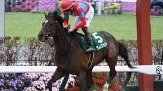 【東京ダービー注目馬】3歳ダート王者の座はどの馬に 1着賞金1億円を争う大一番