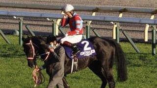 キングカメハメハ、コントレイルが顕彰馬に選定