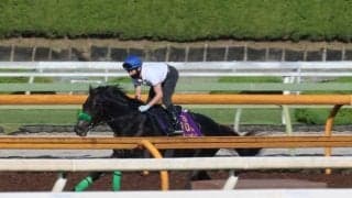 ジャスティンパレス、宝塚記念2週前追い切り速報/栗東トレセンニュース