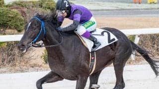 無敗三冠馬コントレイルの半弟が園田で初勝利 兄は4日に殿堂入り