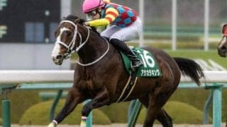 親子タッグが函館スプリントSで待望の重賞初制覇へ 開幕週の函館で逃げ切りV狙う