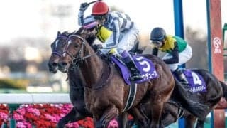 【宝塚記念想定】ドウデュース、ベラジオオペラなど13頭