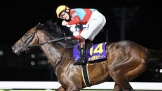 【東京ダービー】三浦「もっともっと上に行く馬」ラムジェットが圧勝