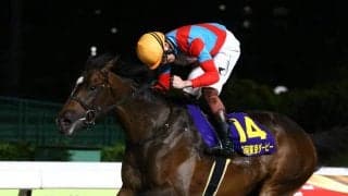 【東京ダービー】「もっと上に行く馬」三浦皇成・ラムジェット、上がり最速で先行押し切り“文句なし”の4連勝