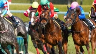 函館3重賞完全制覇へ 地元出身の中堅が函館スプリントSで現役6人目の記録達成目指す