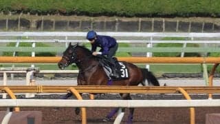 ジュンゴールド＆サトノシュトラーセ、ラジオNIKKEI賞追い切り速報/栗東トレセンニュース