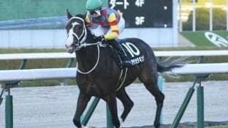 【函館SS出走馬・騎手確定】アサカラキング＆斎藤新騎手、ビッグシーザー＆坂井瑠星騎手など16頭