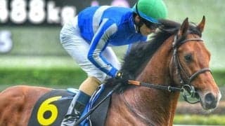 ディープ最終世代の3億円馬 長休明け2戦目でオープン入りなるか