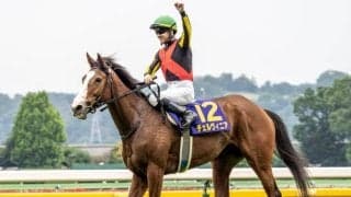 オークス馬チェルヴィニアの半弟 日曜東京でデビューV狙う