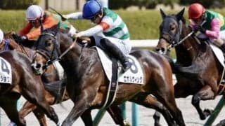 19年JRA年度代表馬の初仔と全弟が激突 負けられない戦いを制すのは？