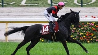 【川崎競馬】関東オークス出走予定馬…クリスマスパレードなど