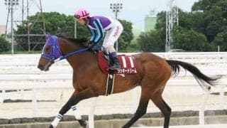 【園田・六甲盃】ラッキードリームが重賞12勝目