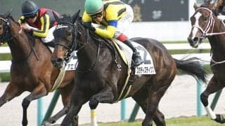 日本ダービー馬ダノンデサイルの半姉 初ダートで変わり身見せ弟に続けるか