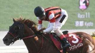【函館SS枠順確定】ウイングレイテストは5枠10番、アサカラキングは2枠3番