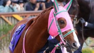 日曜京都は雨予報 三宮Sは高速馬場歓迎の馬が主役だ