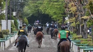 ウマ娘と美浦村がコラボキャンペーン 地域交流館にキャラクター等身大パネル