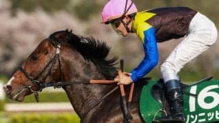 今週の武豊騎手は14鞍 ゾンニッヒで函館スプリントS3勝目なるか