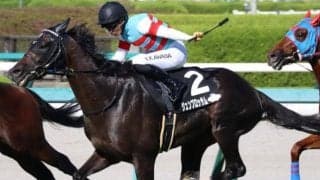 京都芝は外伸び傾向 水無月Sはジュンブロッサムの末脚に期待