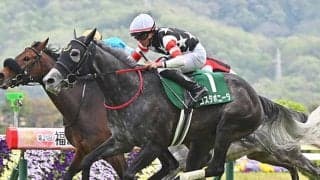 【マーメイドS想定馬・騎手】コスタボニータ、ミッキーゴージャスなど24頭