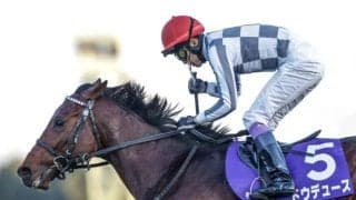 【宝塚記念想定馬・騎手】ドウデュース、ベラジオオペラなど13頭