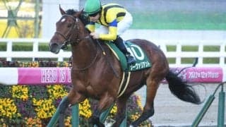 ソーヴァリアントが抹消・乗馬に 21年、22年にチャレンジCを連覇