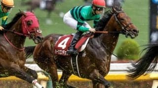 【今日の注目ポイント】函館開催がスタート 東京でフィエールマン産駒のレイヤードレッドなどがデビュー