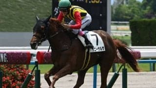 【京都5R新馬戦結果】7番人気のマインドユアビスケッツ産駒サニーサルサが逃げ切り勝ち