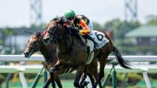 【函館5R新馬戦結果】ヒデノブルースカイが快勝 新種牡馬ナダル産駒のJRA初勝利