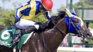 東京芝はエピファネイア産駒に要注意 セルバーグの粘り込みがあるぞ