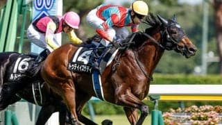 【エプソムC予想】前走で東京コースを経験している馬に良績が集中！  前走で右回りに出走していた馬は実績や近況のリズムに注意