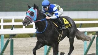 【函館SS予想】父ミスプロ系とサンデー系が圧倒的強さを見せる！  人気薄ならば父ノーザンダンサー系に注目