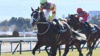 【函館SS前日オッズ】アサカラキングが1.9倍で1番人気