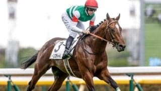 【今日の注目ポイント】東京でエプソムCと函館で函館SSの2重賞