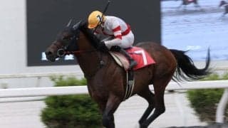 【高知・瀬戸特別】ニクソンテソーロが高知で12勝目…多田羅「うまく内をさばけた」