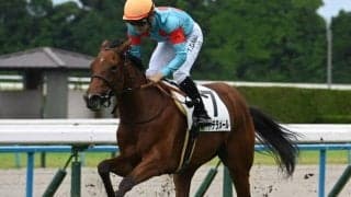 【京都5R新馬戦結果】ナダル産駒ポートデラメールがゴール前で差し切りV