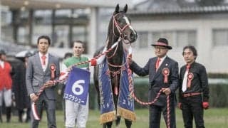 19年の年度代表馬 リスグラシューの「全弟」と「仔」がワンツーフィニッシュ/京都6R