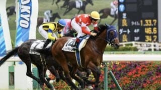 【東京6R】単勝1.3倍レッドアトレーヴが鮮やかな差し切り