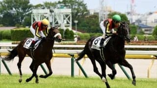 【新馬/東京5R】キタサンブラック産駒 クロワデュノールが鮮やかに抜け出す